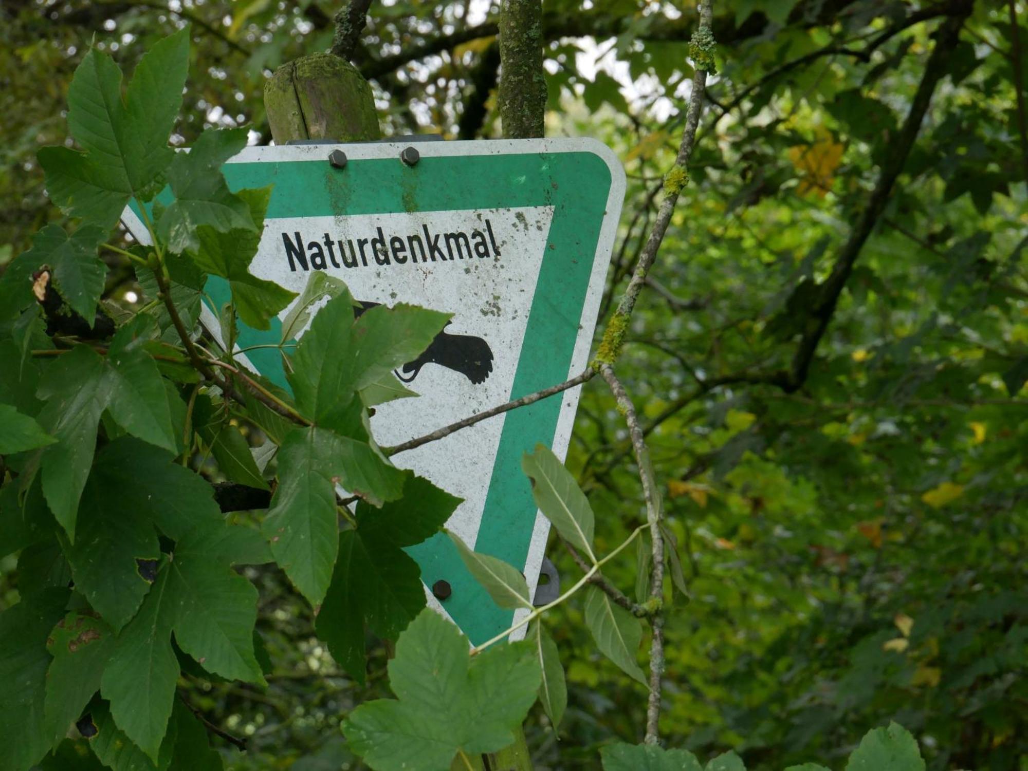 Ferienwohnungen Knodel Sachsenheim Bagian luar foto